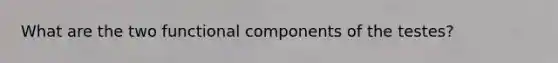 What are the two functional components of the testes?