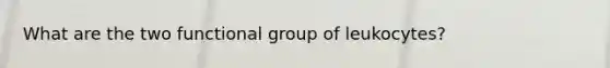 What are the two functional group of leukocytes?