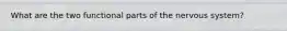 What are the two functional parts of the nervous system?