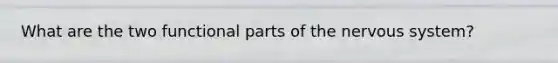 What are the two functional parts of the nervous system?