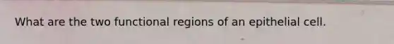 What are the two functional regions of an epithelial cell.