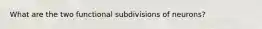 What are the two functional subdivisions of neurons?