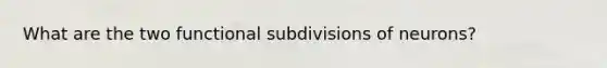 What are the two functional subdivisions of neurons?