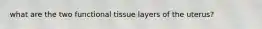 what are the two functional tissue layers of the uterus?