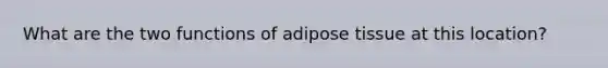 What are the two functions of adipose tissue at this location?