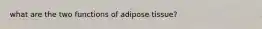 what are the two functions of adipose tissue?