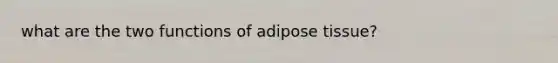 what are the two functions of adipose tissue?