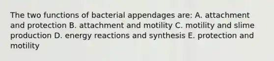 The two functions of bacterial appendages are: A. attachment and protection B. attachment and motility C. motility and slime production D. energy reactions and synthesis E. protection and motility