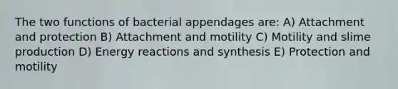 The two functions of bacterial appendages are: A) Attachment and protection B) Attachment and motility C) Motility and slime production D) Energy reactions and synthesis E) Protection and motility