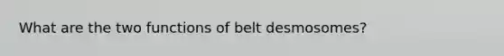 What are the two functions of belt desmosomes?