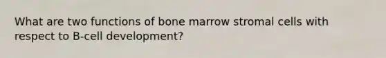 What are two functions of bone marrow stromal cells with respect to B-cell development?