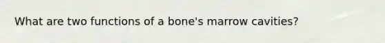 What are two functions of a bone's marrow cavities?