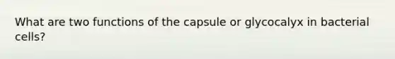 What are two functions of the capsule or glycocalyx in bacterial cells?