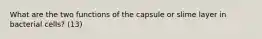 What are the two functions of the capsule or slime layer in bacterial cells? (13)