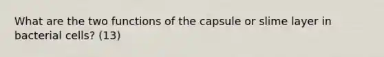 What are the two functions of the capsule or slime layer in bacterial cells? (13)