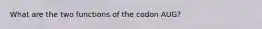 What are the two functions of the codon AUG?