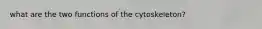 what are the two functions of the cytoskeleton?