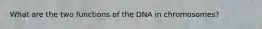 What are the two functions of the DNA in chromosomes?