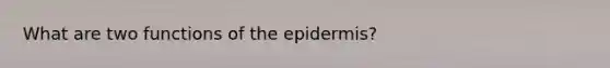 What are two functions of the epidermis?