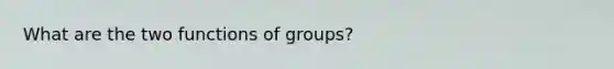 What are the two functions of groups?