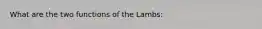 What are the two functions of the Lambs: