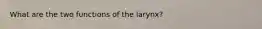 What are the two functions of the larynx?