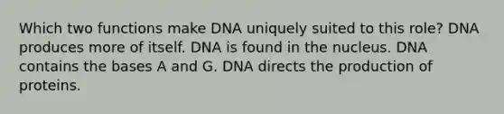 Which two functions make DNA uniquely suited to this role? DNA produces more of itself. DNA is found in the nucleus. DNA contains the bases A and G. DNA directs the production of proteins.