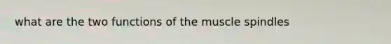 what are the two functions of the muscle spindles