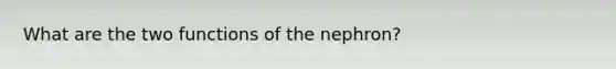 What are the two functions of the nephron?