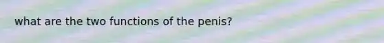 what are the two functions of the penis?