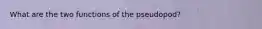 What are the two functions of the pseudopod?