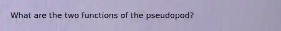 What are the two functions of the pseudopod?