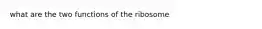 what are the two functions of the ribosome