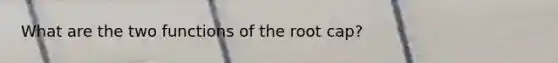 What are the two functions of the root cap?