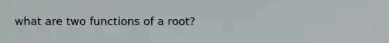 what are two functions of a root?