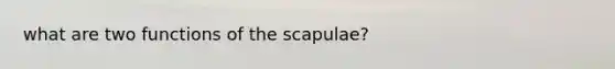 what are two functions of the scapulae?