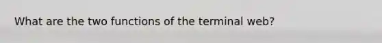 What are the two functions of the terminal web?