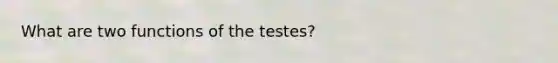 What are two functions of the testes?