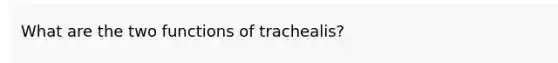 What are the two functions of trachealis?