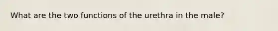 What are the two functions of the urethra in the male?