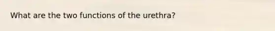 What are the two functions of the urethra?