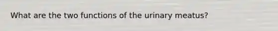 What are the two functions of the urinary meatus?