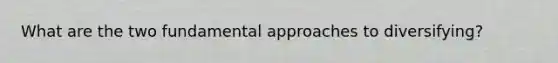 What are the two fundamental approaches to diversifying?