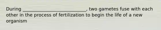 During ____________________________, two gametes fuse with each other in the process of fertilization to begin the life of a new organism