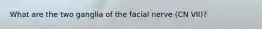 What are the two ganglia of the facial nerve (CN VII)?