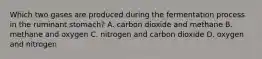 Which two gases are produced during the fermentation process in the ruminant stomach? A. carbon dioxide and methane B. methane and oxygen C. nitrogen and carbon dioxide D. oxygen and nitrogen