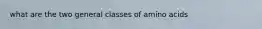 what are the two general classes of amino acids