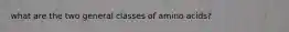 what are the two general classes of amino acids?