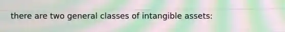 there are two general classes of intangible assets: