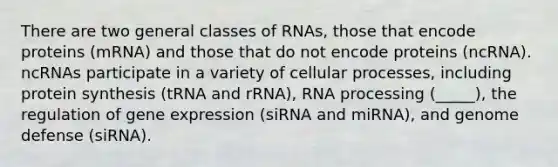 There are two general classes of RNAs, those that encode proteins (mRNA) and those that do not encode proteins (ncRNA). ncRNAs participate in a variety of cellular processes, including <a href='https://www.questionai.com/knowledge/kVyphSdCnD-protein-synthesis' class='anchor-knowledge'>protein synthesis</a> (tRNA and rRNA), <a href='https://www.questionai.com/knowledge/kapY3KpASG-rna-processing' class='anchor-knowledge'>rna processing</a> (_____), the regulation of <a href='https://www.questionai.com/knowledge/kFtiqWOIJT-gene-expression' class='anchor-knowledge'>gene expression</a> (siRNA and miRNA), and genome defense (siRNA).